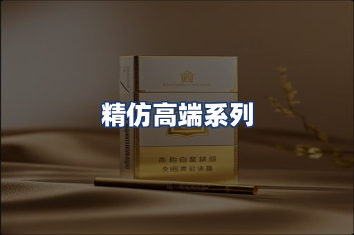 精仿高端系列